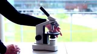 Werken met de Microscoop [upl. by Danni]