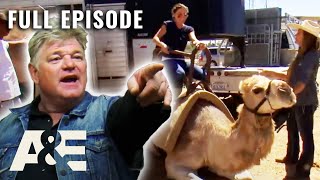 Storage Wars Back to the Locker  Bet the Farm On It S1 E4  Full Episode [upl. by Indys]