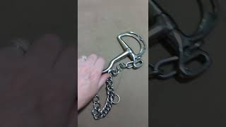 Kimberwicke Stainless Steel Bit  an honest review horse tack review [upl. by Mikkel565]