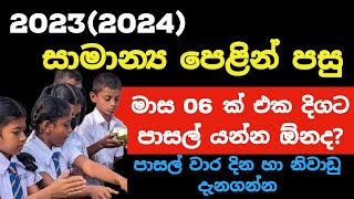 School Term Dates After 20 th May 2024  School Term Plan 2024  School Vacations 2024 [upl. by Enwad]