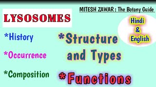 Lysosomes  Structure and Functions  Types of Lysosomes  Lysosomes Full topic in Hindi amp English [upl. by Nerwal]