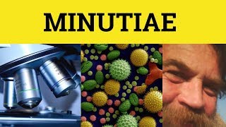 🔵 Minutiae  Minutiae Meaning  Minutiae Examples  Latin in English [upl. by Eilak]