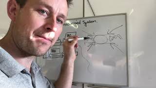 How and why we get an airlock out of a pressurised system [upl. by Rehtul435]