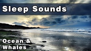 Whale Sounds amp Ocean Waves  Soothing Sleep Sounds  White Noise Sound  Peaceful Whale Song [upl. by Lessard344]