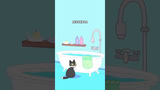 ¿Por qué tu gato odia que lo bañes 🚿🐱 gatos gato gatitos felinos michi michis gatosgraciosos [upl. by Island415]