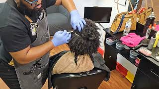 Morning consultation blowout trim amp Style  Natural Hair [upl. by Ashil]