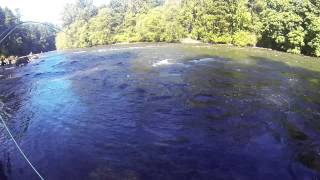 Salmon Fishing Campbell River [upl. by Adyht995]