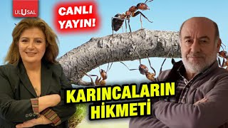 Karıncaların hikmeti  Güneş Batum ile Güneşli Sohbetler  Nazif Tunç CANLI [upl. by Oni22]