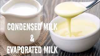 How to make condensed milk and evaporated milk [upl. by Lindi943]