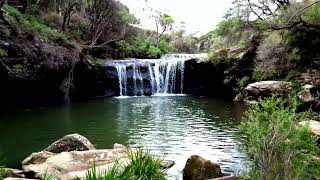 rainforest jervisbay nsw Macquarie Cascades amp Huskisson Beach in 4K Australia 🇦🇺 [upl. by Falda625]