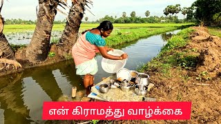 அழகான என் காலை வேலைகள்  Morning Routine Vlog  Indian Village Life [upl. by Oryaj650]