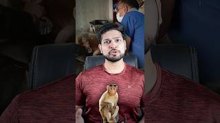 10 हज़ार करोड़ के बंदरो को बच्चा करने से क्यों रोक रहा Sri Lanka 🔥 shorts monkey business [upl. by Annotahs]