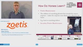 eBEVA Webinar Gemma Pearson  Practical Equine Behaviour [upl. by Ellimahs795]