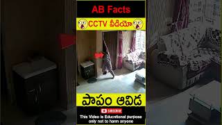 😭పాపం ఆవిడ😭 Brave lady saved her family from thieves telugufacts shorts youtubeshorts abfacts [upl. by Elac]