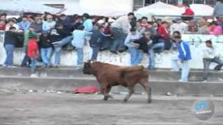 toros de mi pueblo vol 9 9 HD [upl. by Nodyroc377]