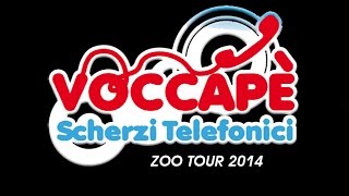 SCHERZO X FACTOR ZOO TOUR 2014 [upl. by Niloc503]