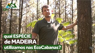 Qual Madeira é utilizada nas EcoCabanas [upl. by Netsruk429]