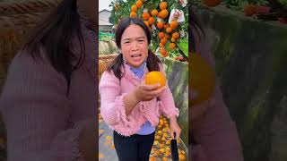 ¡Así Se Cosechan Naranjas en Asia Directamente en Canales de Agua🍊🌊 shorts [upl. by Ttebroc794]