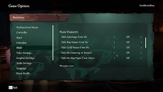 How to Hide My Gamertag on Banners in Sea of Thieves [upl. by Aurelio]