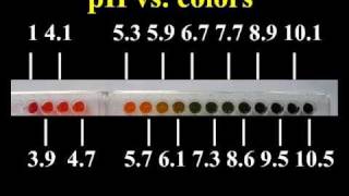 How to make universal indicator [upl. by Dunton]