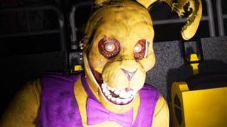 Playing the CANCELLED FNAF Fan Game [upl. by Suivatnad]