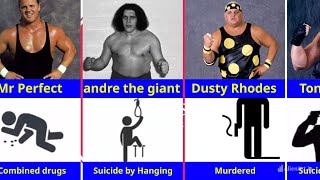 how wwe wrestlers died [upl. by Santiago]