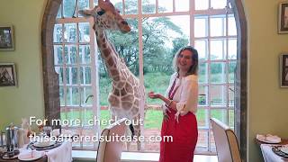 Giraffe Manor Afternoon Tea and Breakfast With Giraffes [upl. by Eirelav]