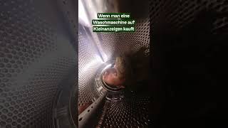 Wie riecht die Waschmaschine 👃🏻👀 360grad kleinanzeigen lustig [upl. by Azar]