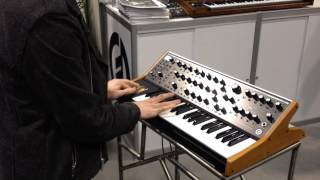 Moog Sub 37  NAMM 2014  Gentry Demo [upl. by Shimkus]