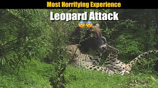 Leopard Attack in Uttarakhand Our Most Horrifying Experience  Chapter 2 Himalayan Shepherds [upl. by Tnomel]