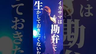 GYMPIEGYMPIE  トラケミスト ロックバンド 歌詞動画 ライブ 着火型火属性 gympiegympie [upl. by Breban]