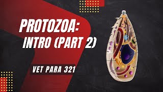 VET PARA 1  Protozoa Introduction Part 2  Chapter 10 [upl. by Saxon]