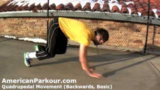 Quadrupedal Movement Backwards Basic  Parkour Training and Conditioning Exercise [upl. by Yobybab]