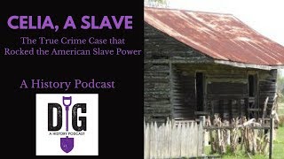 Celia A Slave The True Crime Case that Rocked the American Slave Power [upl. by Ahsaekal22]