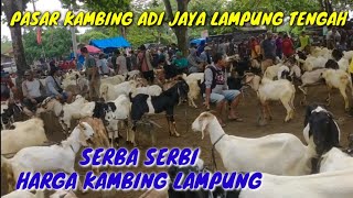 SERBA SERBI HARGA KAMBING TERBARUPASAR KAMBING ADI JAYA LAMPUNG TENGAH [upl. by Onitsoga]