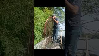 129 YAYIN BALIGI BOLLUĞU ve AVISAZAN AVISERPME İLE BALIK AVIbalik avibalık avı carpfishing [upl. by Wilkie197]