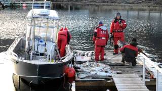 Fornøyde fiskere i Fiskarboden Jakt og Fiskecamp på Sørøya NORWAY [upl. by Ania]