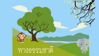 องค์ประกอบการท่องเที่ยวเชิงนิเวศ [upl. by Car]