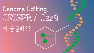 Genome Editing CRISPR  Cas9이 궁금해 [upl. by Ettennil]