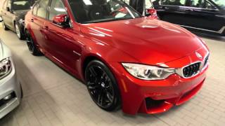 BMW M3 European Delivery amp US Delivery [upl. by Aracahs]