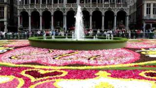 Flower Carpet Brussels 2010 [upl. by Lionello]