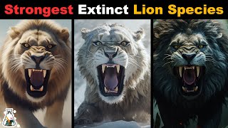 6 Most Powerful Extinct Lion Species [upl. by Miarzim]