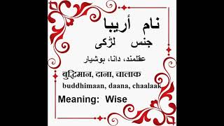 Areeba Name Meaning in Urdu Areeba Arabic Name Meaning [upl. by Gorges867]