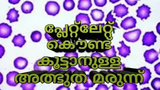 പ്ലേറ്റ്ലേറ്റ് കൌണ്ട് കൂട്ടാനുള്ള അത്ഭുത മരുന്ന് how to reduce Platelet count [upl. by Yrrad]