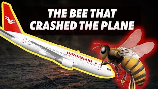 The Shocking Cause of a Plane Crash Bees in Pitot Tubes  1996 Birgenair Boeing 757 Incident [upl. by Bashemeth]