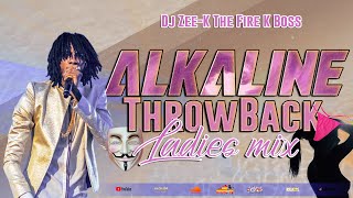 Alkaline Mix  Alkaline Throw Back Ladies Dancehall Mix 2023  100 Alkaline Female Songs [upl. by Uolyram]