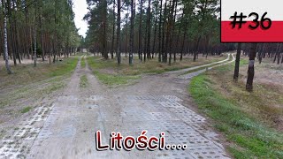 Jak ja mam to znaleźć XDD 🌳🍄  Geoguessr speedrun w Polsce 36 🇵🇱🗺️ [upl. by Nance]