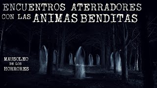 EXPERIENCIAS CON LAS ANIMAS DEL PURGATORIO VOL 3  HISTORIAS DE TERROR [upl. by Chainey]