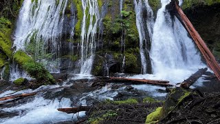 SILENT PERSPECTIVES 4K ENTIRE PANTHER CREEK AREA Falls amp Campground  Gifford Pinchot Washington [upl. by Ocsic717]