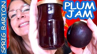 HOW TO MAKE PLUM JAM  PLUM PRESERVES BEST RECIPE Sprig Barton Tutorial [upl. by Erdnassac955]